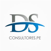 DS CONSULTORES.PE