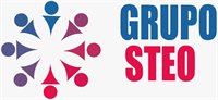STEO Inversiones y Servicios Generales SAC STEO Inversiones y Servicios Generales SAC