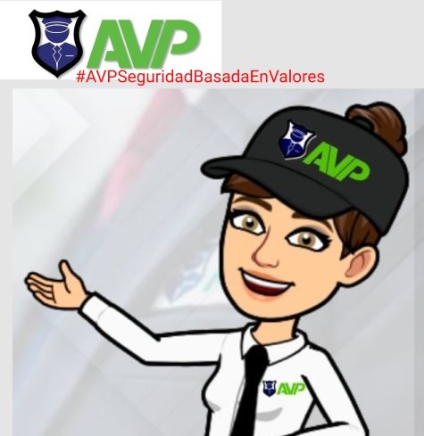 AVP Y SEGURIDAD  Collage Photo 0