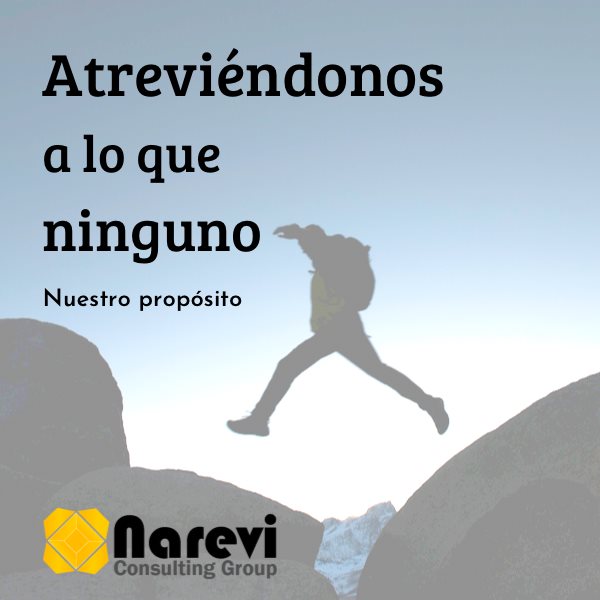 NAREVI CONSULTING GROUP S.A.C. Collage Photo 0