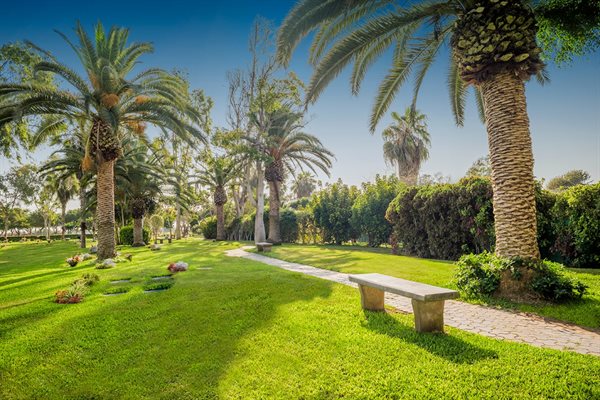 PARQUE DEL RECUERDO Collage Photo 3