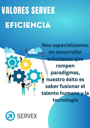 SERVEX Collage Photo 4