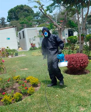 INNOVA INTEGRAL Collage Photo 4