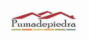 PUMA DE PIEDRA