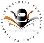 EFICIENCIA INDUSTRIAL GONZALES S.A.C.