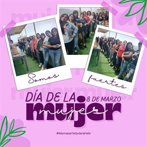 MORNESE  Collage Photo 2