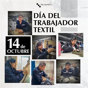 Incalpaca TPX S.A Collage Photo 0