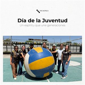 Incalpaca TPX S.A Collage Photo 1