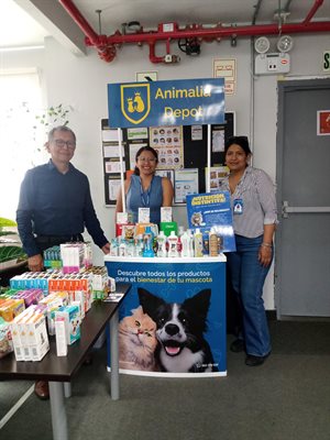 MORNESE  Collage Photo 1