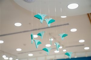 Comexa SA Collage Photo 2