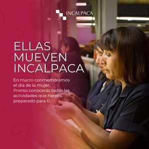 Incalpaca TPX S.A Collage Photo 0