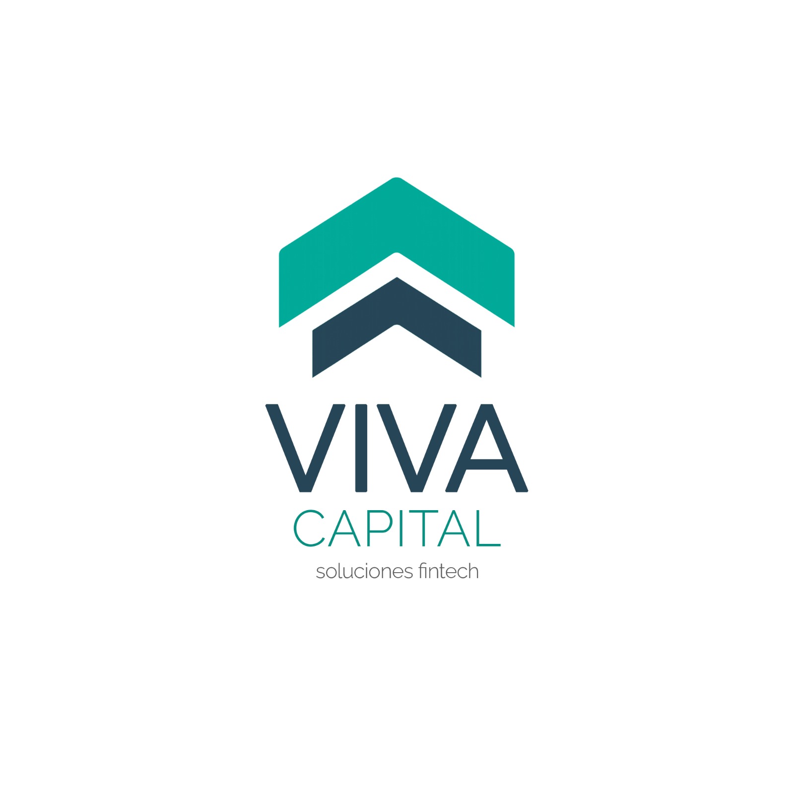 Viva Capital logo