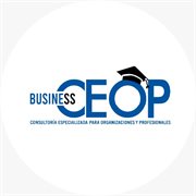 THESYS X EMPRESAS GROUP S.A.C.