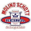 Molinera Schott - Osorno Molinera Schott - Osorno