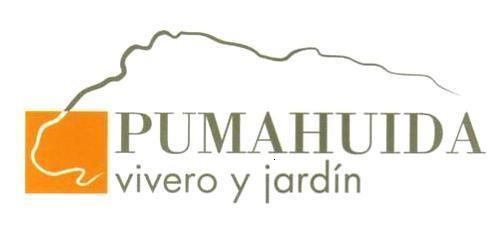 VIVERO PUMAHUIDA LTDA VIVERO PUMAHUIDA LTDA