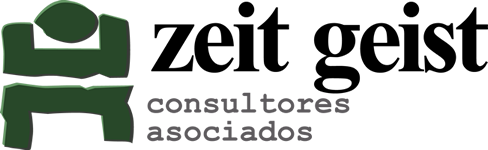 Geist Consultores Limitada