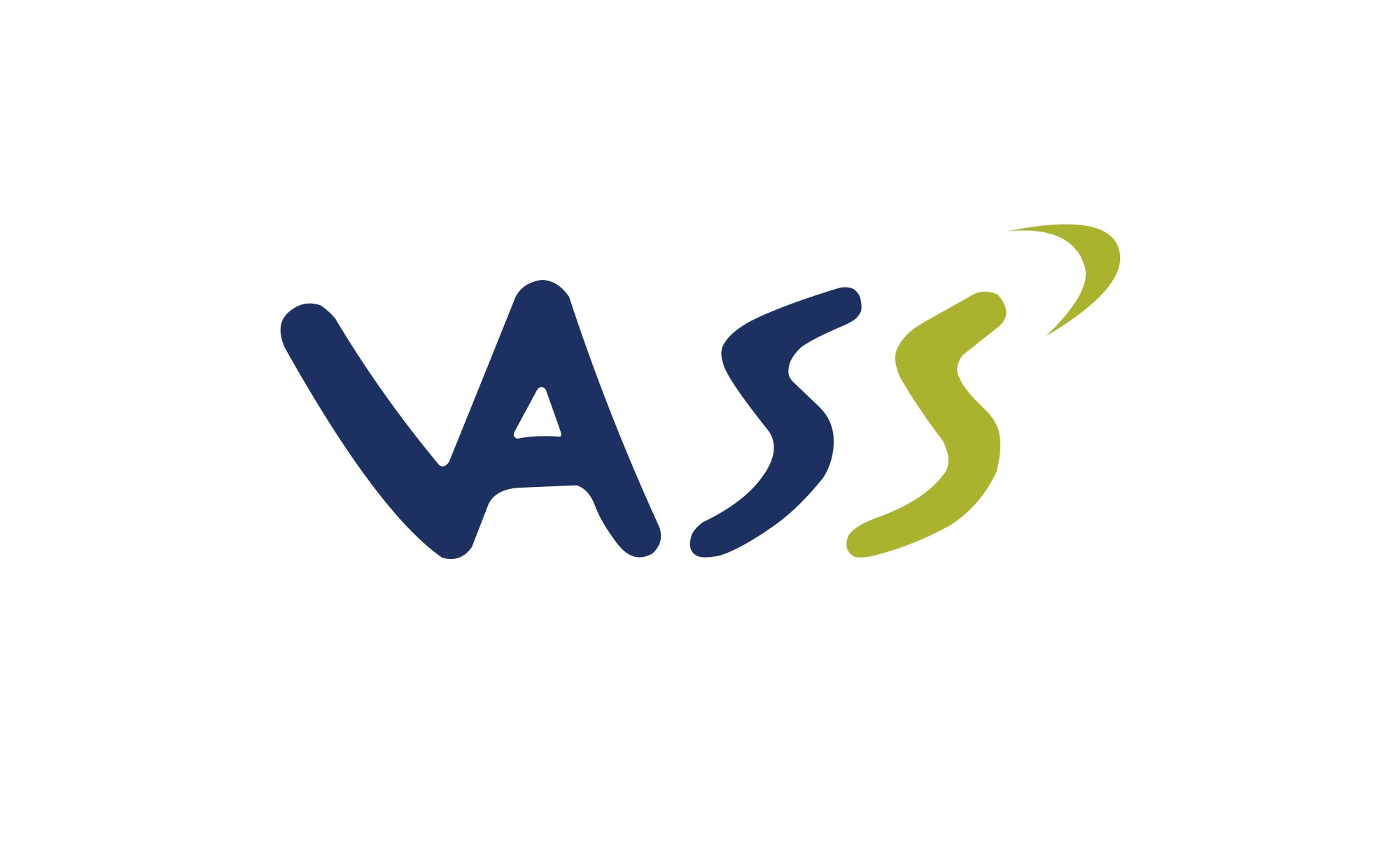 VASS Chile VASS Chile