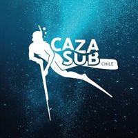 Cazasub Chile Cazasub Chile