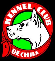 kennel club de chile