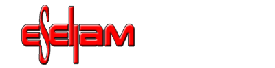 Esellam S.A. Esellam S.A.
