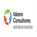 Valeiro Consultores logo