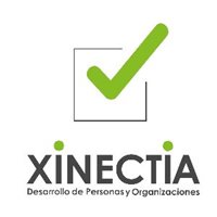 Xinectia Consultoría de negocios Xinectia Consultoría de negocios