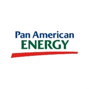 PAN AMERICAN ENERGY, S.L., SUCURSAL ARGENTINA 