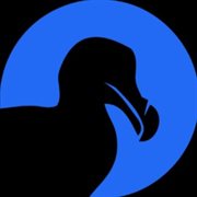 Dodolink Internacional SRL