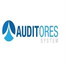 Audit System Auditores Audit System Auditores