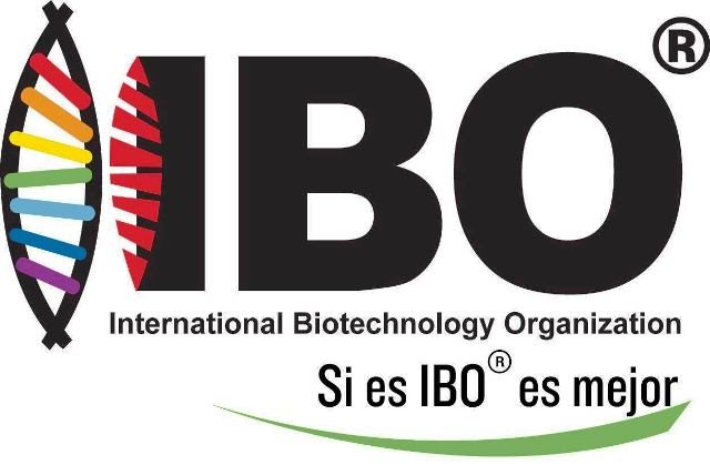 IBO s.a. IBO s.a.