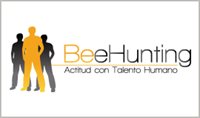 Beehunting Beehunting