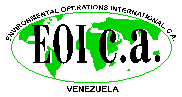 Eoica Eoica