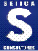 Seiica Consultores C.A Seiica Consultores C.A