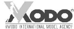 Vmodo International Model Agency Group Inc C.A.