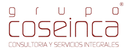 Grupo Coseinca Consultoria y Servicios Integrales C.A. Grupo Coseinca Consultoria y Servicios Integrales C.A.