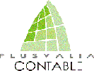 Plusvalia Contable, C.A. Plusvalia Contable, C.A.