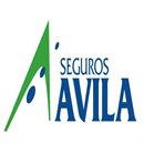C.A. DE SEGUROS AVILA C.A. DE SEGUROS AVILA