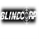 BLINDCORP VENEZUELA, S.A. BLINDCORP VENEZUELA, S.A.