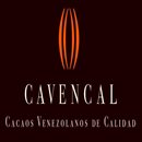 Tecnocacao CA Tecnocacao CA