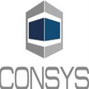Consulting and System Support Consulting and System Support