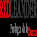 Red Leander Red Leander