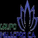 GRUPO INELECPRO C.A GRUPO INELECPRO C.A