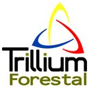 Forestal Trillium Forestal Trillium
