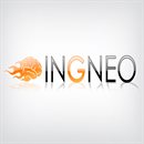 Ingneo Publicidad Ingneo Publicidad