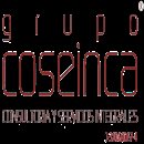 GRUPO COSEINCA GRUPO COSEINCA