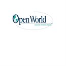 Open World Consultores Open World Consultores