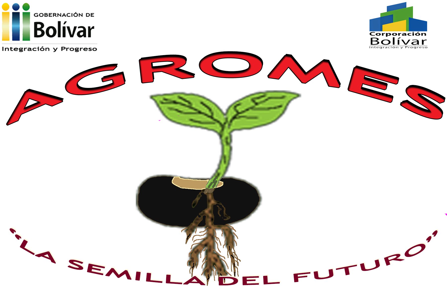AGROMES BOLÍVAR C.A. AGROMES BOLÍVAR C.A.