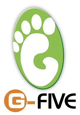 Inversiones G-Five CA Inversiones G-Five CA