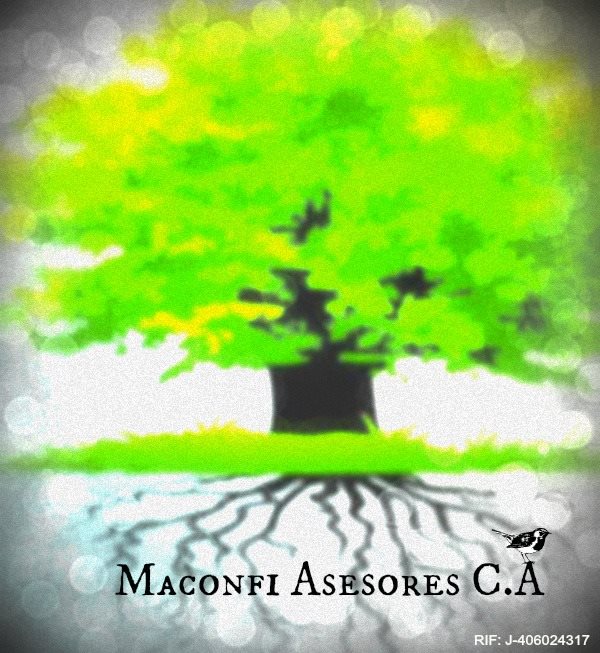 Maconfi Asesores, C.A. Maconfi Asesores, C.A.