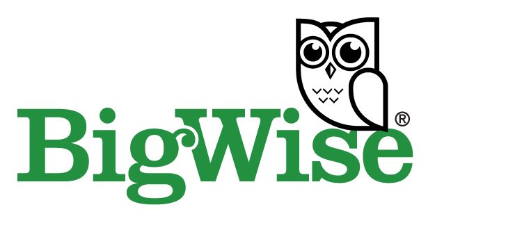 BIGWISE S.A BIGWISE S.A